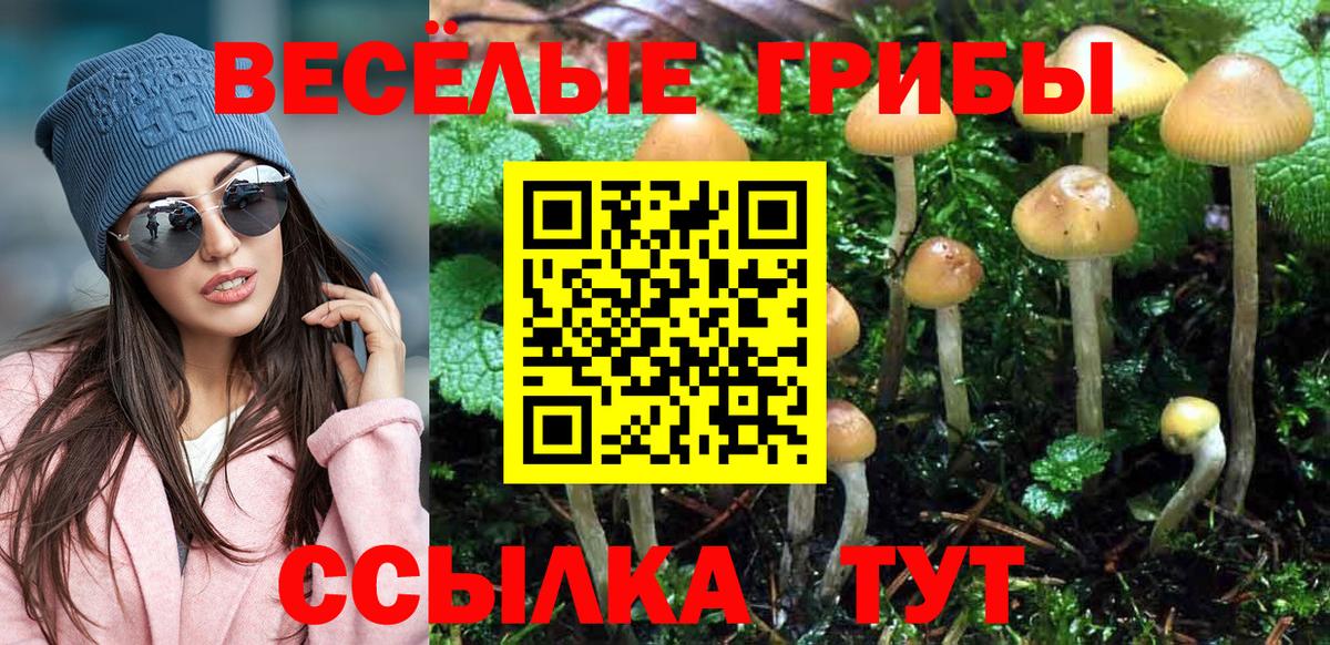 Псилоцибиновые грибы Psilocybine cubensis  Вход с VPN  Новозыбков 